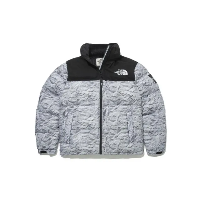 THE NORTH FACE Down Jacket Unisex Silver XS