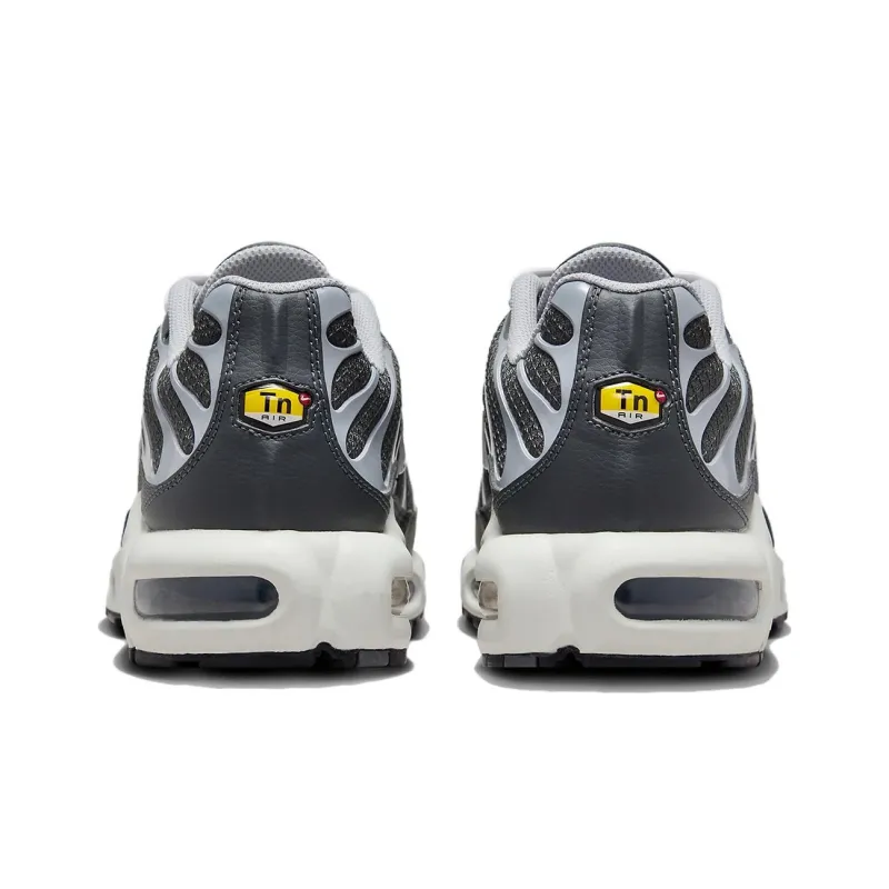 Nike Air Max Plus Greyscale Cool Grey-4