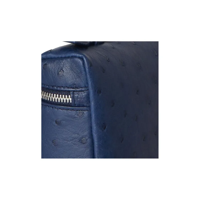 Loro Piana ExtraPocket Ostrich Leather Small Square Makeup Bag Handbags Shoulder Bags Regular Women's Iris Blue-3