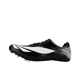 Obsidian Black