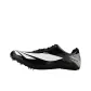 Obsidian Black