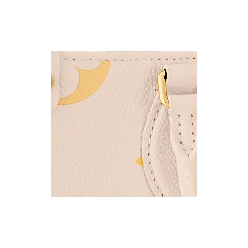 LOUIS VUITTON OnTheGo Pm Neutral Gradient-5