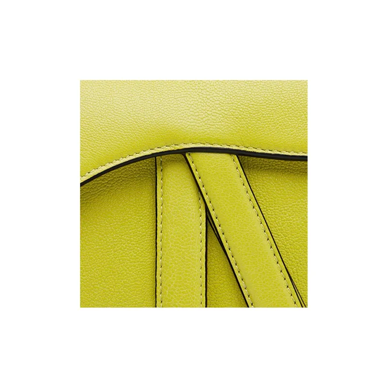 DIOR Sheepskin Saddle Bag Handbag, Shoulder Bag Women's Green Yellow-4