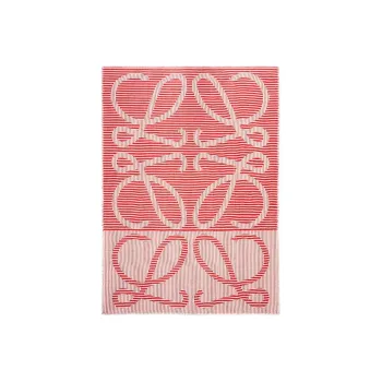 LOEWE Knit Scarves Women's Multicolor