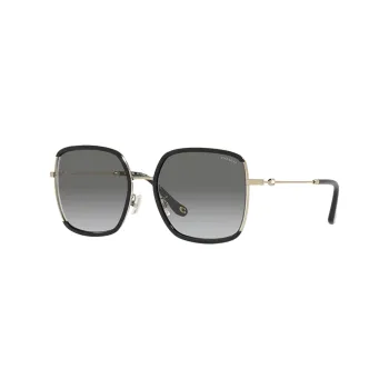 Coach sunglasses hc 7003 online