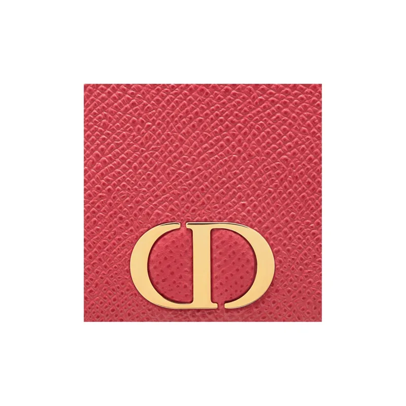 DIOR Earphone Cases-4