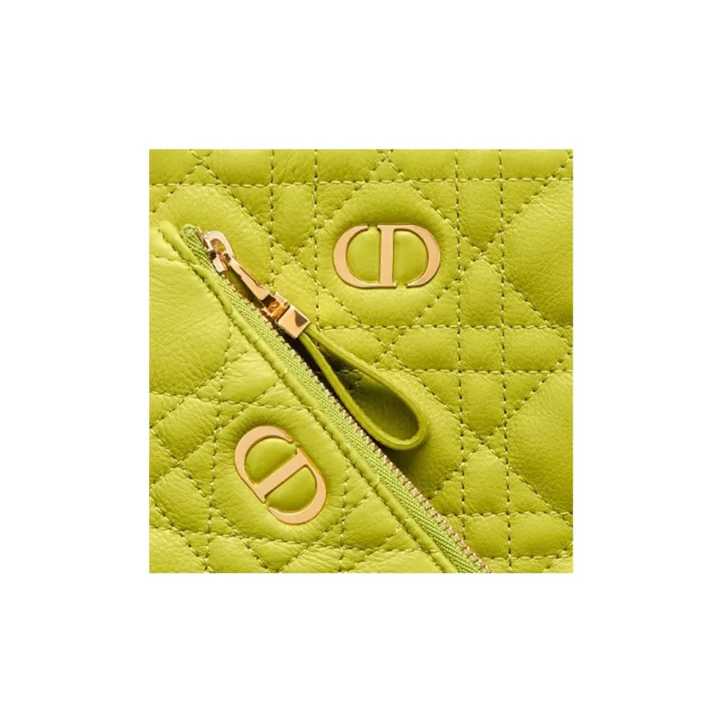 DIOR Caro Series Clutches-5