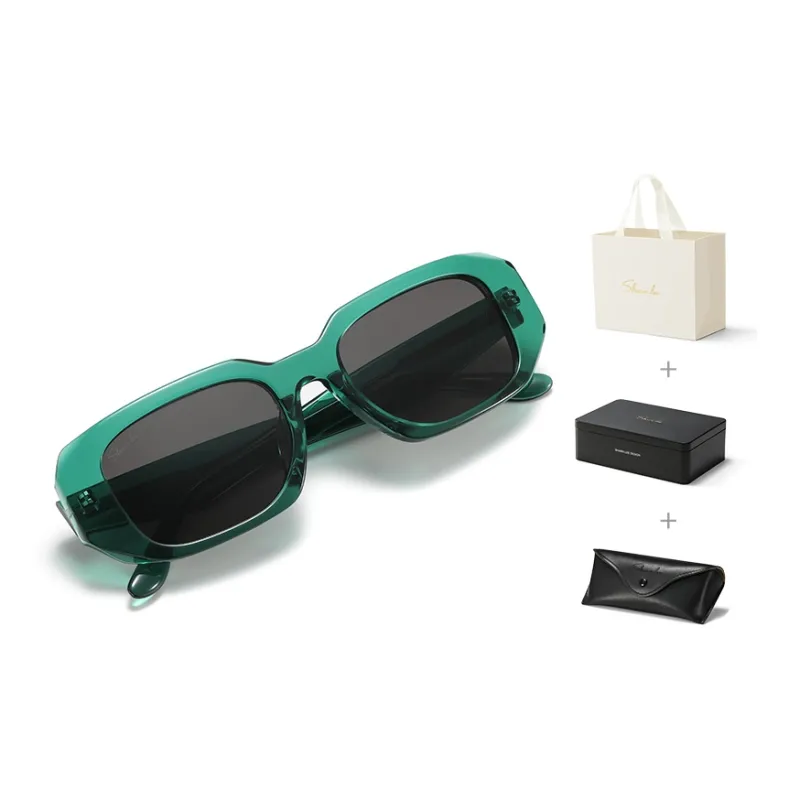 SHAWN LEE Plate Frame Irregular Shape Sunglasses Unisex-7