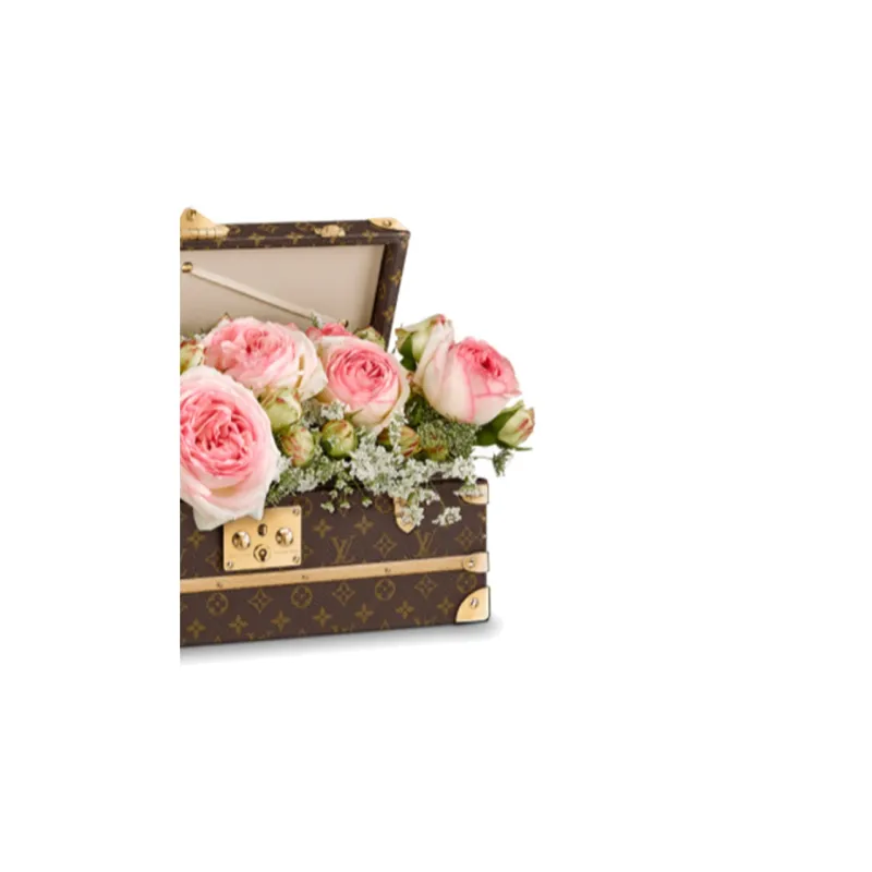 LOUIS VUITTON Canvas With Wooden Strip Base Flower Boxes Storage Unisex Brown-5
