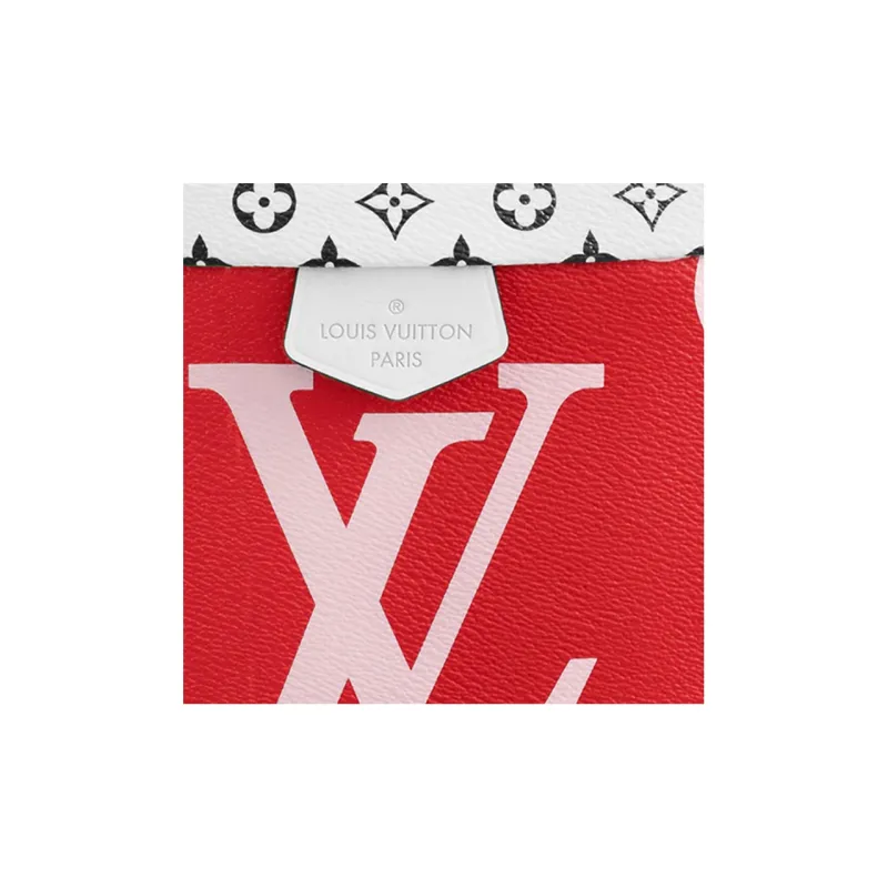 LOUIS VUITTON Bumbag Monogram Giant Red/Pink-4