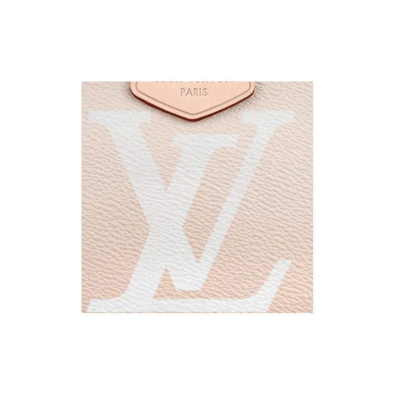 LOUIS VUITTON Multi Pochette Gradient Pastel Mist-5