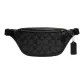 Bag+Dust Bag