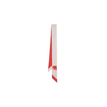 Ferragamo Silk Scarves Women's Red/Beige