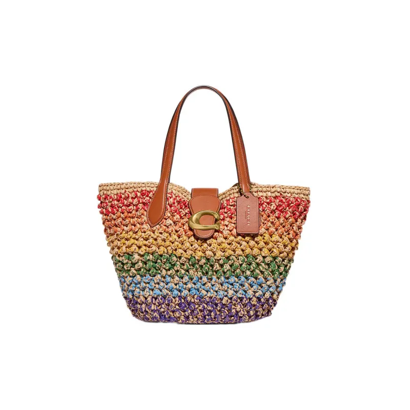 COACH Straw Woven Leather Tote Bag Shopping Bag Basket Bag Handbag Small Size Women's Rainbow-0