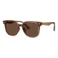 76046 T1R Transparent Tea Brown Frame with Tea Brown Lens, Non-Polarized