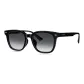 76047 B1SR Black Frame-Gradient Gray Lens, Non-Polarized