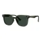 76046 G2PR Transparent Olive Green Frame with Green Lens, Polarized