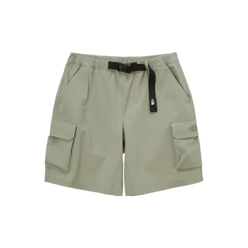 THE NORTH FACE Men Casual Shorts