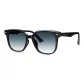 76046 B1CR Black Frame-Blue Gradient Lens, Non-Polarized