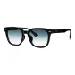 76047 B1CR Black Frame with Blue Gradient Lens, Non-Polarized