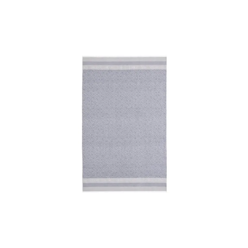 LOEWE Knit Scarves Women's Blue-0