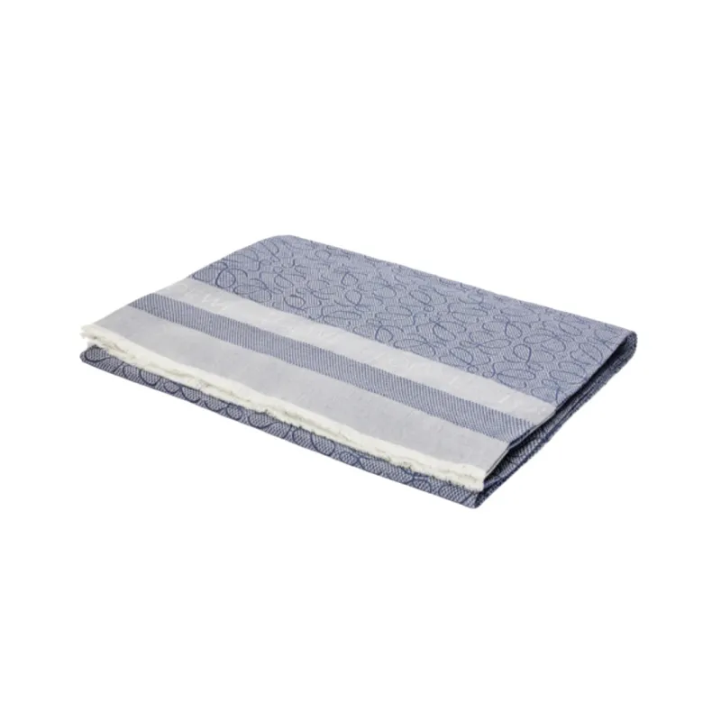 LOEWE Knit Scarves Women's Blue-1