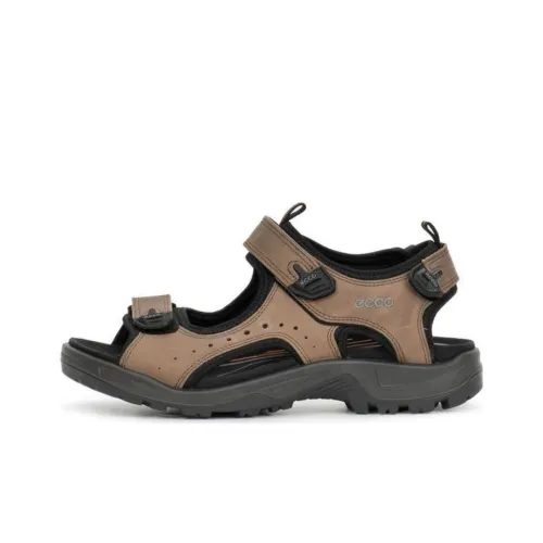 Ecco Beach Sandals Men Brown