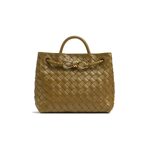 Bottega Veneta Small Andiamo Acorn