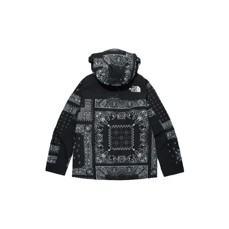 THE NORTH FACE Eco Gtx Mountain Jacket Black Korea Version-1