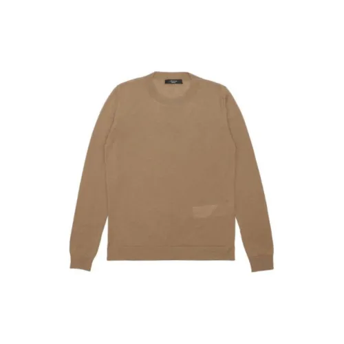 MaxMara Sweaters Men Brown