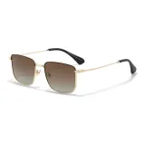 Gold Frame with Gradient Tea Brown Lens