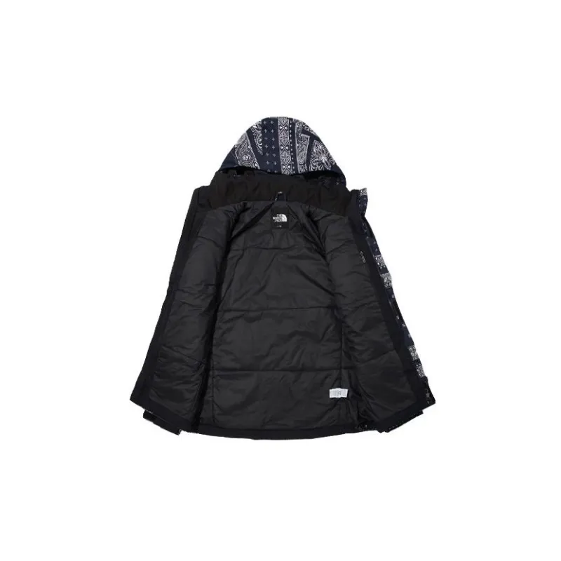 THE NORTH FACE Novelty Gtx Paisley Mountain Jacket-2