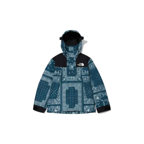 THE NORTH FACE Novelty GTX Paisley Mountain Jacket 