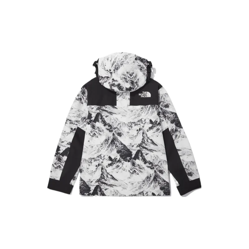 THE NORTH FACE Novelty Eco Gtx Mountain Jacket Nutral Gray Unisex Korea Version-1