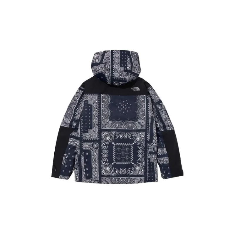 THE NORTH FACE Novelty Gtx Paisley Mountain Jacket-1