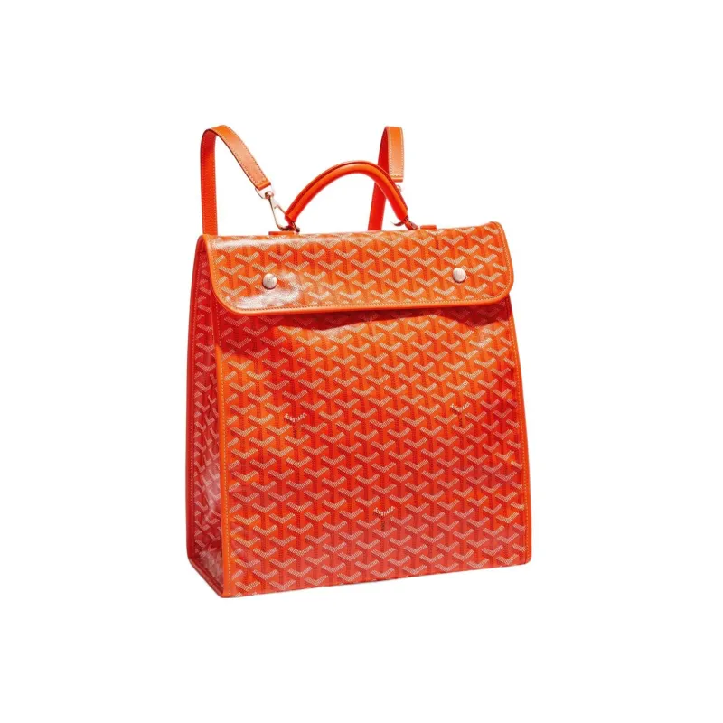 GOYARD Canvas With Calfskin Handbag Backpack Medium Size Unisex 11 Colors-18