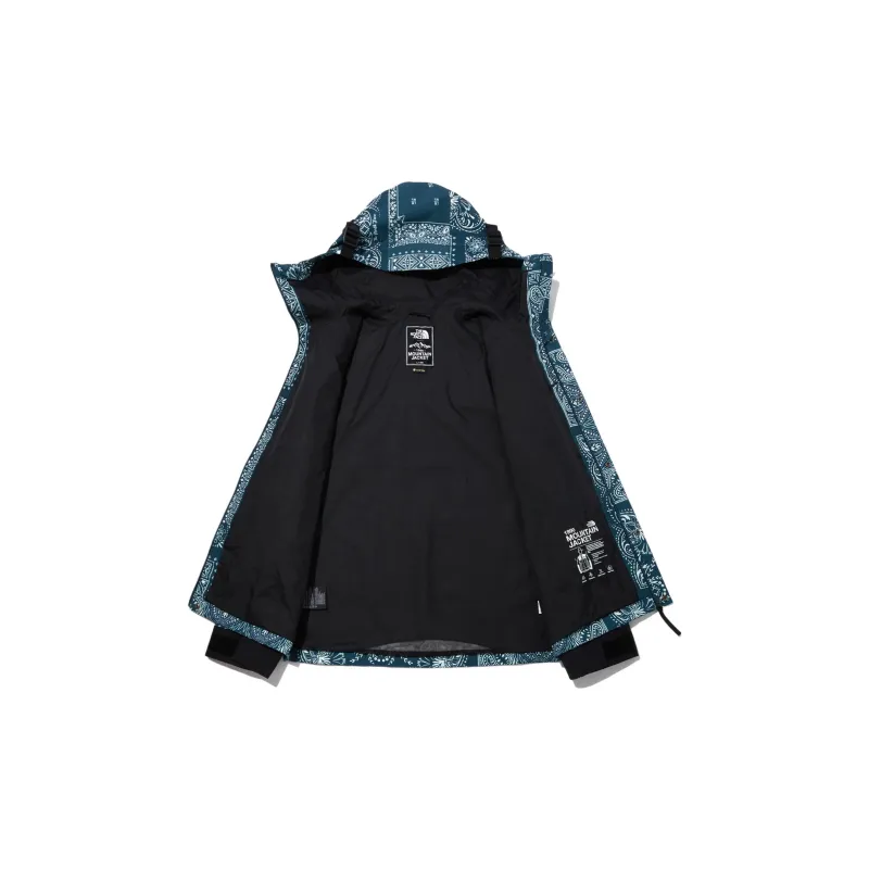 THE NORTH FACE ■ NOVELTY GTX MOUNTAIN JACKET THE NORTH FACE Novelty Gtx Paisley Mountain Jacket - POIZON