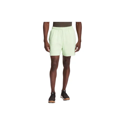 THE NORTH FACE Sports Shorts Men Lime