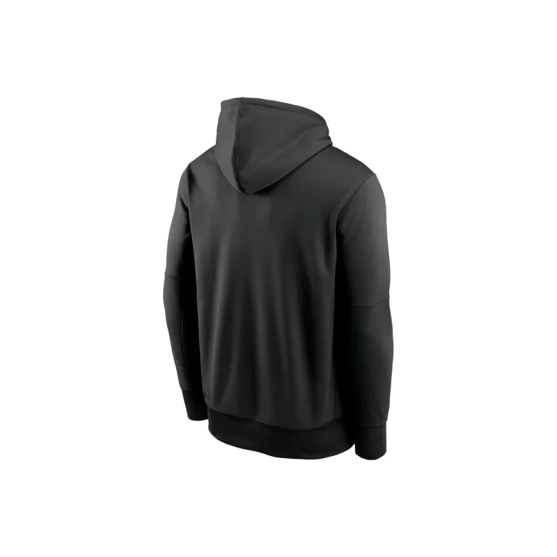 Nike Philadelphia Eagles 2024 Nfc East Champions Trophy Collection Men's Nike Nfl Pullover Hoodie-1