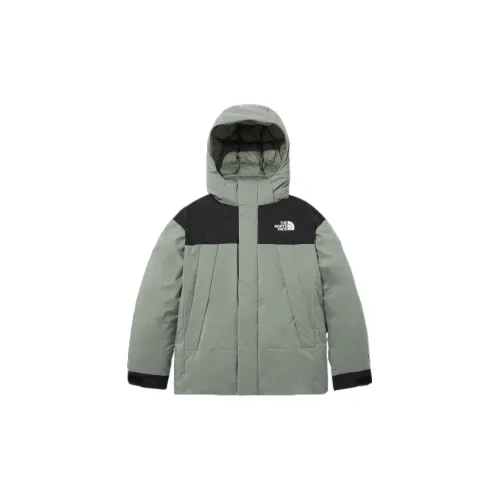 THE NORTH FACE Down Jackets Men Green