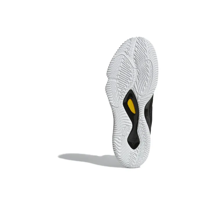 Adidas D Rose Dominate 3 'Black'-5