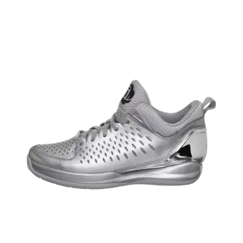 Adidas D Rose 3 'Silver'