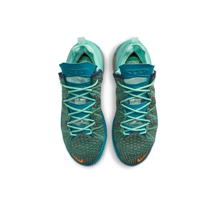 Nike LeBron 18 We Are Family-3