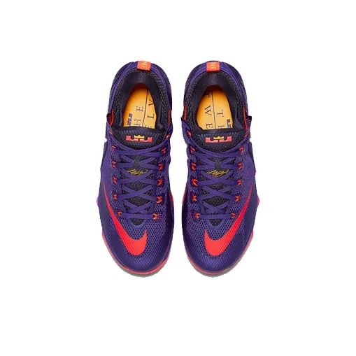 Nike LeBron 12 Low Court Purple-2