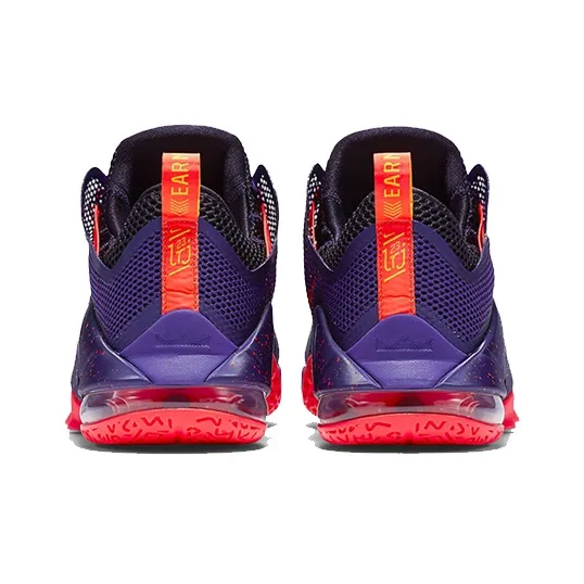 Nike LeBron 12 Low Court Purple-3
