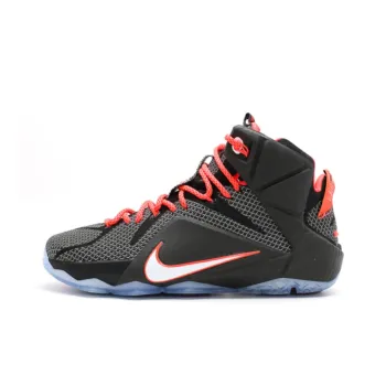 Nike LeBron 12 Court Vision