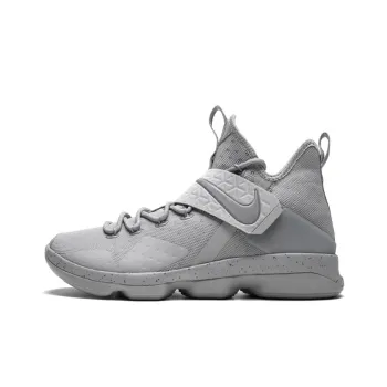 Nike LeBron 14 Silver