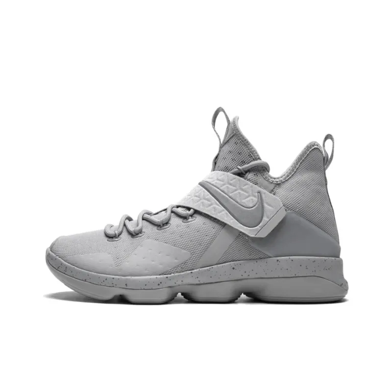 Nike LeBron 14 Silver-0