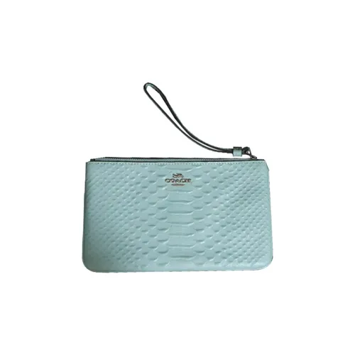 COACH Crocodile Pattern Leather Pochette Clutch Women's Light Blue