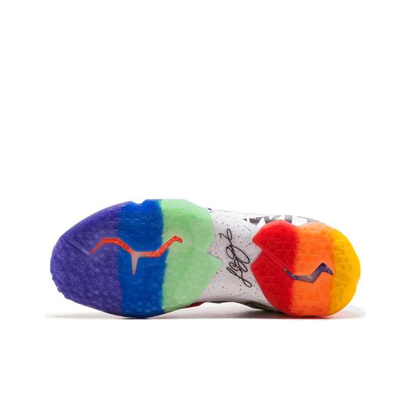 Nike LeBron 11 What The LeBron-5